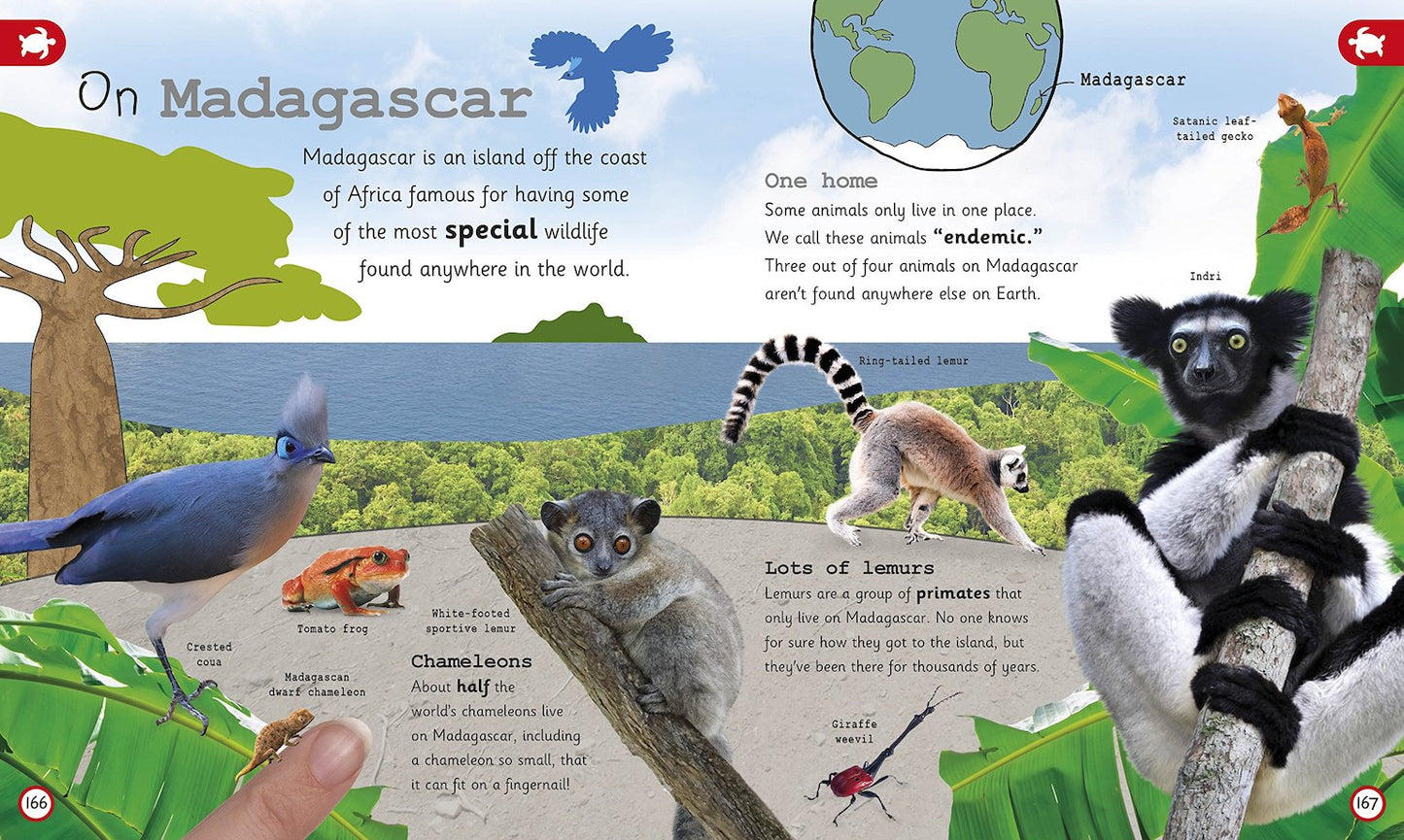 DK My Encyclopedia of Very Important Animals