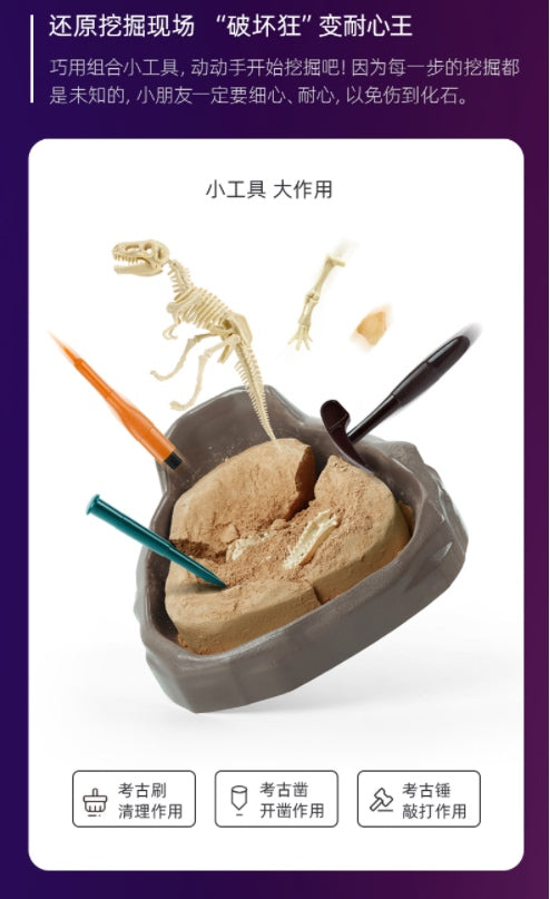 ScienceCan恐龙考古套装-霸王龙