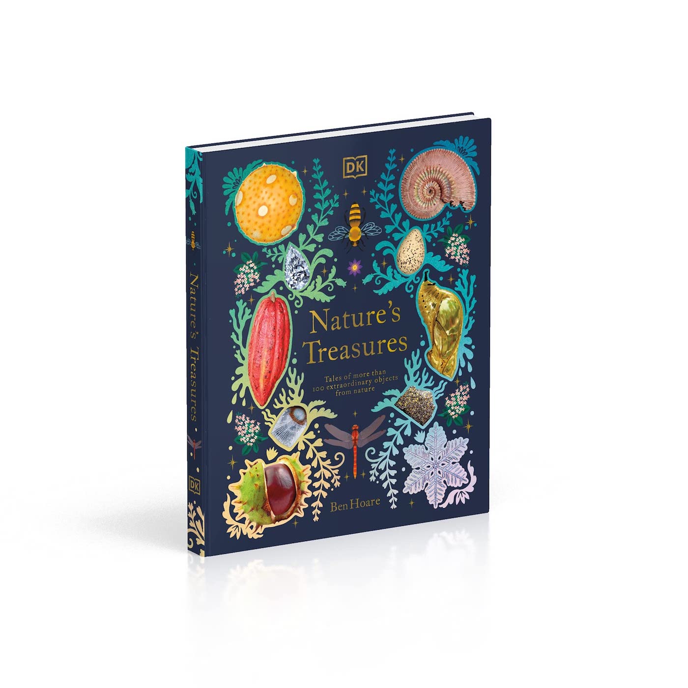 DK Nature's Treasures