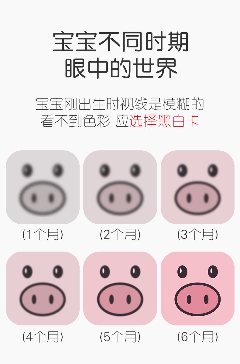 新生儿视觉激发早教闪卡0-3月