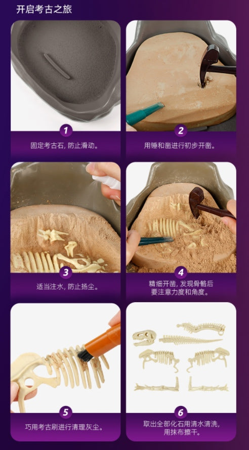 ScienceCan恐龙考古套装-霸王龙