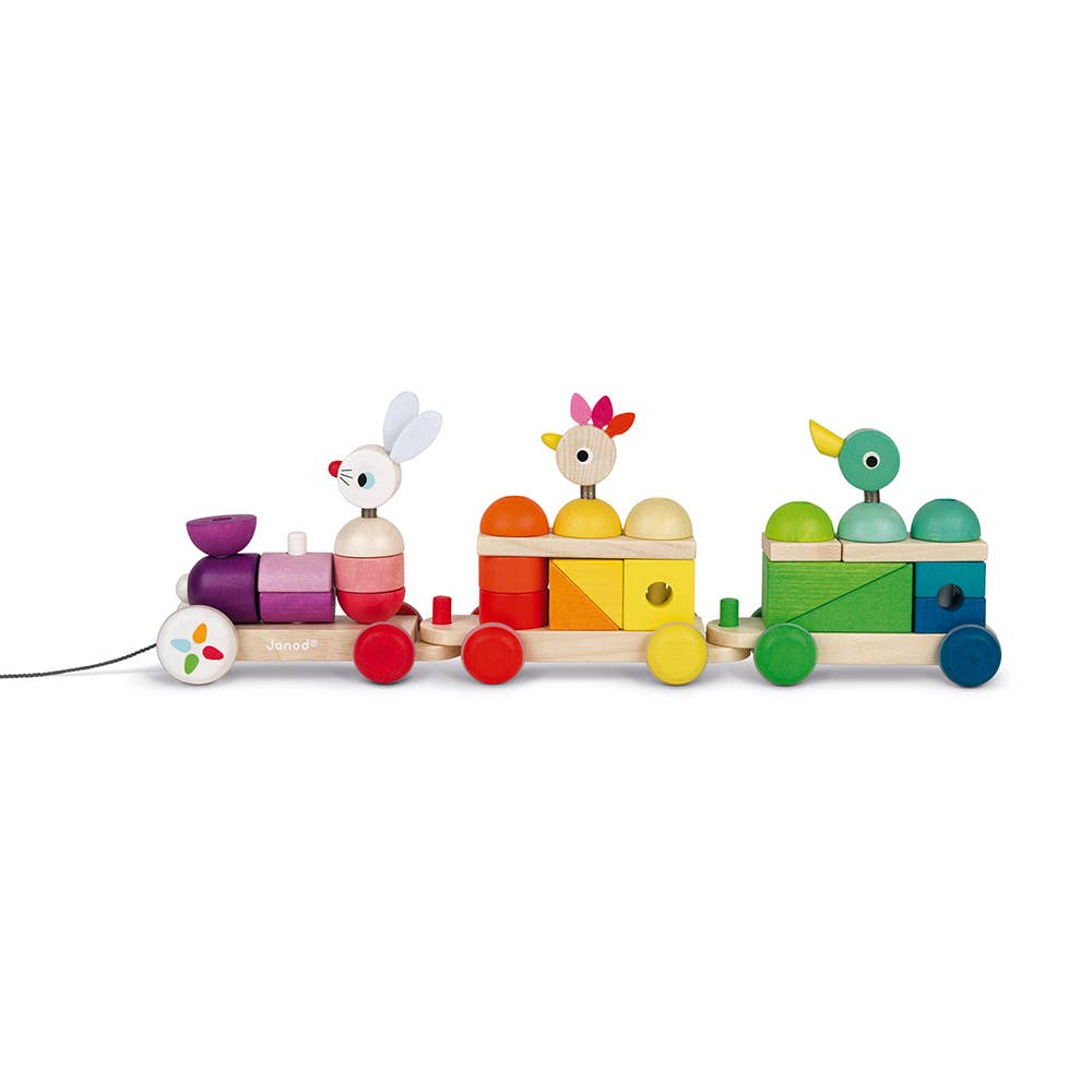 法国Janod Zigolos - Giant Multicolor Train