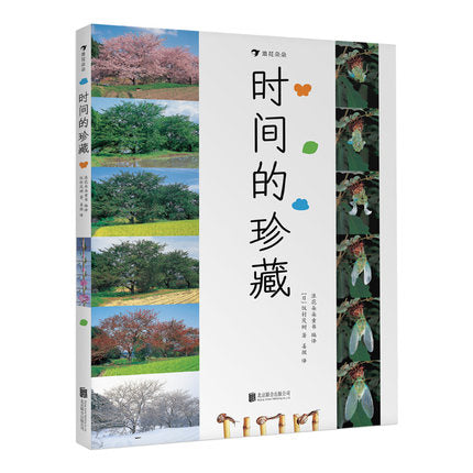 时间的珍藏