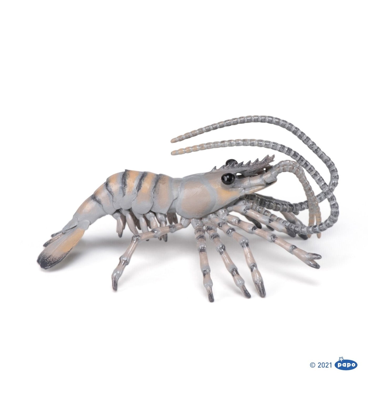 Papo Shrimp
