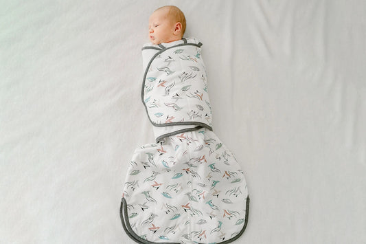 Nest Designs Bamboo Jersey Swaddle Sleep Bag 2.5 TOG - Rainbow Swim