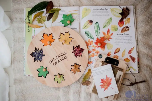 澳洲自然美感QToys Leaf Circle Of Life Puzzle