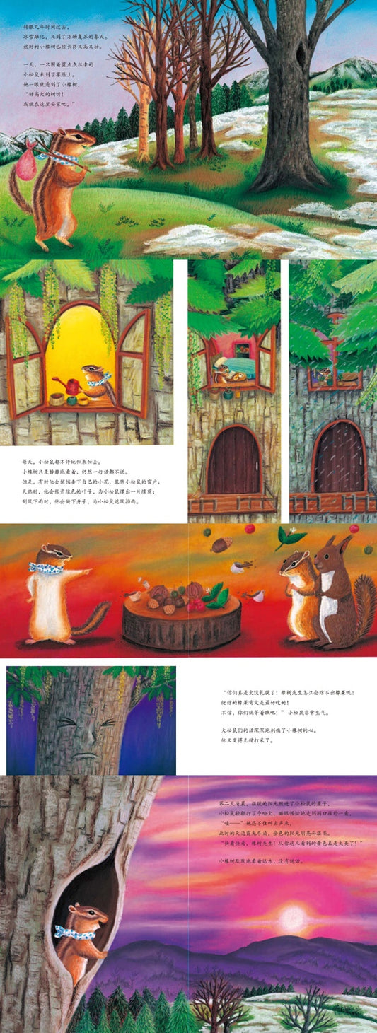 小橡树