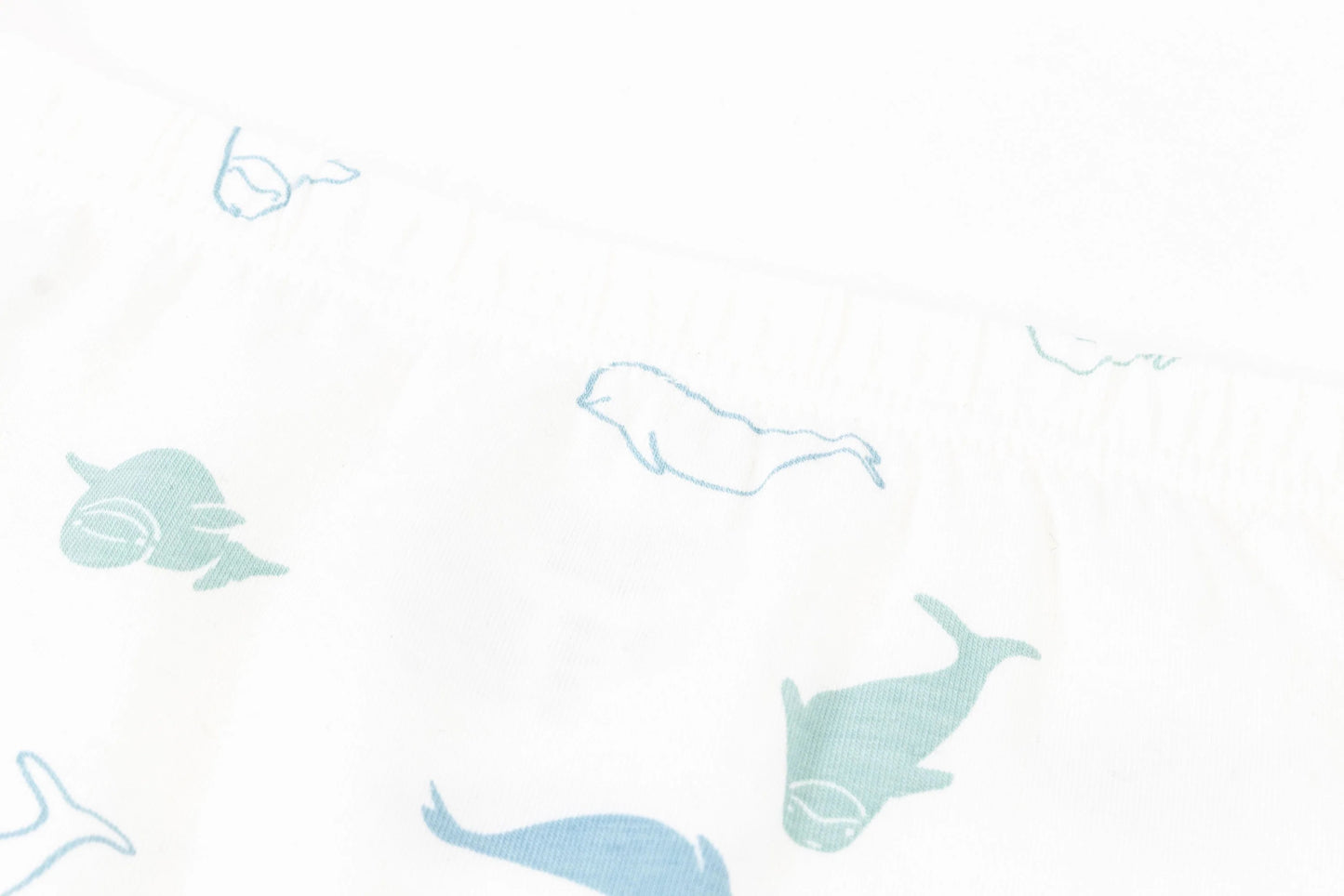 Nest Designs Bamboo Girls Boy Short Underwear (2 Pack) - Belugas