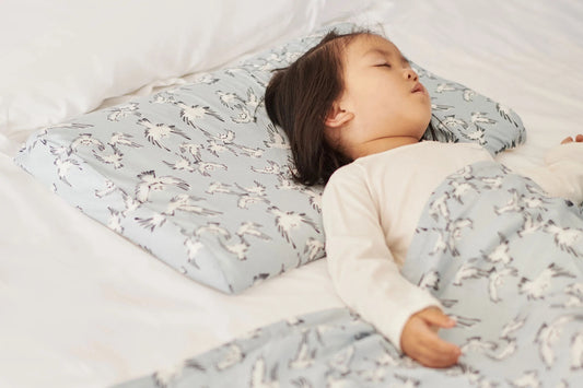 Nest Designs Organic Cotton Toddler Pillow with Pillowcase (Small) - Guess Hoo