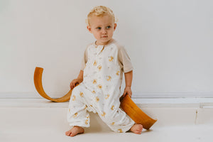 Nest Designs Raglan Bamboo Pima Short Sleeve Footed Sleep Bag 0.6 TOG -The Lion and The Mouse