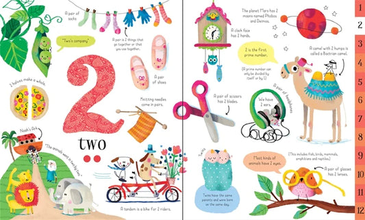 Usborne Big Book of Numbers