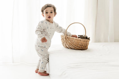 Nest Designs Organic Cotton Two-Piece Long Sleeve PJ Set - Winter Skate