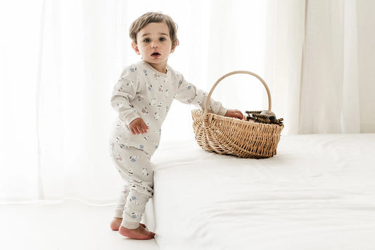 Nest Designs Organic Cotton Two-Piece Long Sleeve PJ Set - Winter Skate