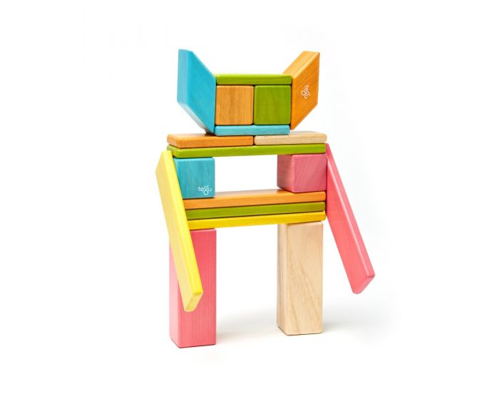 美国木质磁力片Tegu 24-ece Magnetic Wooden Block Set-Tints