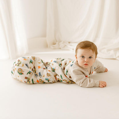 Nest Designs 2.5 TOG Raglan Bamboo Cozy Sleep Bag - Adventure Time