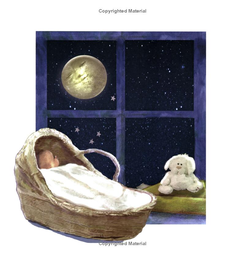 纽约时报畅销绘本On the Night You Were Born
