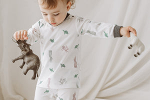 Nest Designs Bamboo Two-Piece Long Sleeve PJ Set - The Tortoise & The Hare