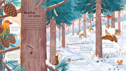 Usborne Look Inside, The Woods