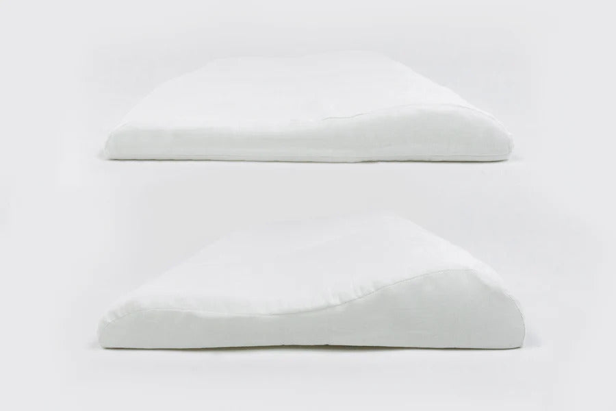 Nest Designs Bamboo Jersey Toddler Pillow and Pillowcase (Medium 55X35) - Rhino Hippo