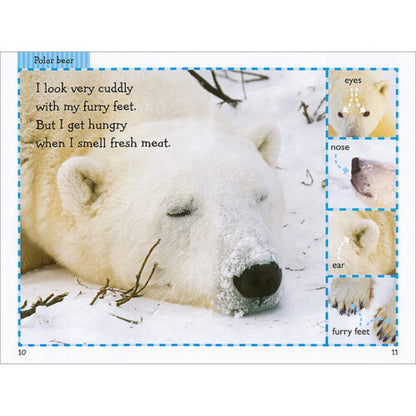 美国Scholastic-Schol Rdr Lvl 1- Polar Animals