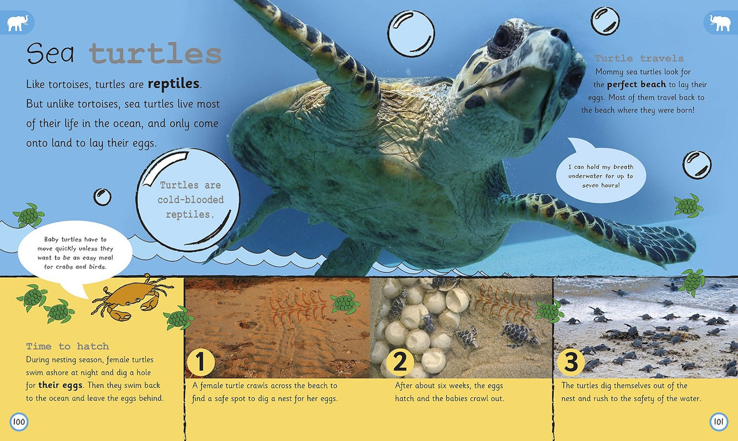 DK My Encyclopedia of Very Important Animals