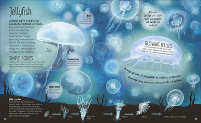 DK Earth's Incredible Oceans