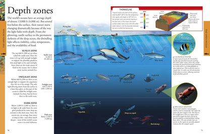 DK Smithsonian Ocean