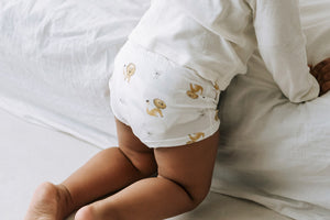 Nest Designs Bamboo Boys Boxer Briefs Underwear (2 Pack) - The Lion & The Goose