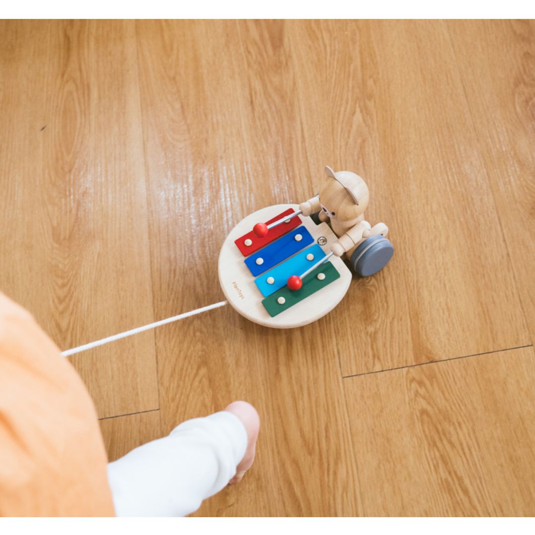 泰国PlanToys Pull Along Musical Bear