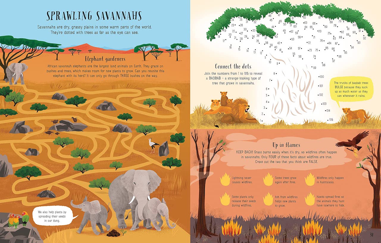 USBORNE Planet Earth Activity Book