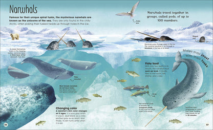 DK Earth's Incredible Oceans
