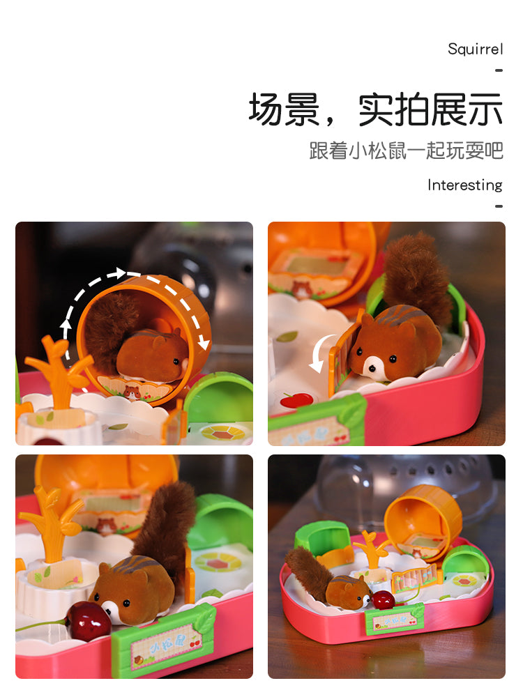 萌宠乐园-仓鼠松鼠养成屋-颜色随机