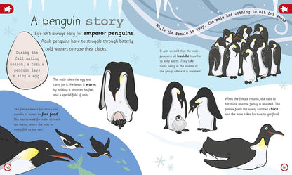 DK My Encyclopedia of Very Important Animals