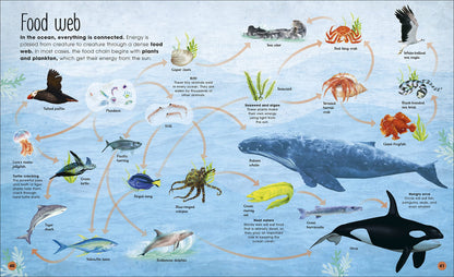 DK Earth's Incredible Oceans