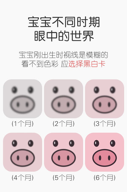 新生儿视觉激发早教闪卡0-3月
