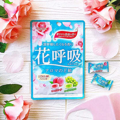 KASUGAI水果润喉糖
