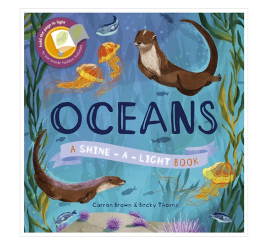 Kane Miller手电筒书 Ocean