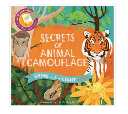 Kane Miller手电筒书 Secrets of Animal Camouflage
