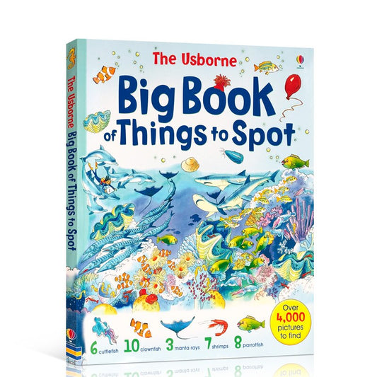 Usborne Big Book of Things to Spot