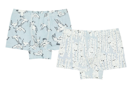 Nest Designs Bamboo Boys Boxer Briefs Underwear (2 Pack) - Owls