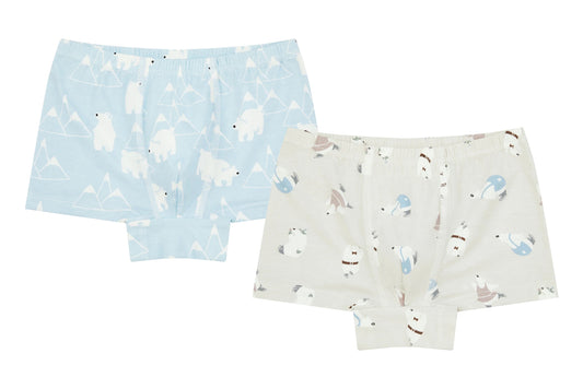 Nest Designs Bamboo Boys Boxer Briefs Underwear (2 Pack) - Polar Bear