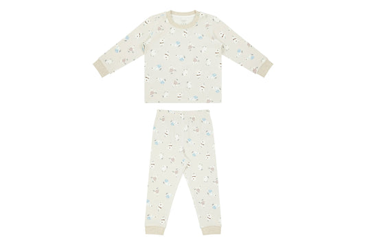 Nest Designs Organic Cotton Two-Piece Long Sleeve PJ Set - Winter Skate