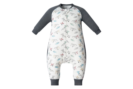 Nest Designs Raglan Bamboo Long Sleeve Footed Sleep Bag 2.5 TOG - Rainbow Swim