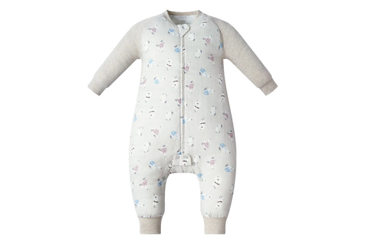 Nest Designs Raglan Bamboo Long Sleeve Footed Sleep Bag 2.5 TOG - Winter Skate
