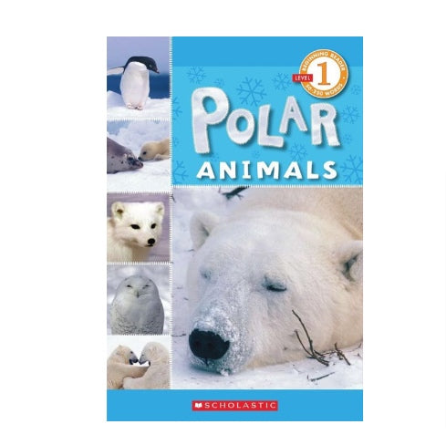 美国Scholastic-Schol Rdr Lvl 1- Polar Animals