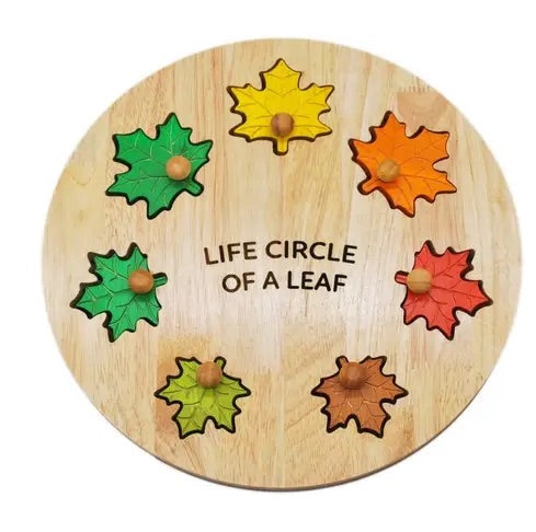 澳洲自然美感QToys Leaf Circle Of Life Puzzle
